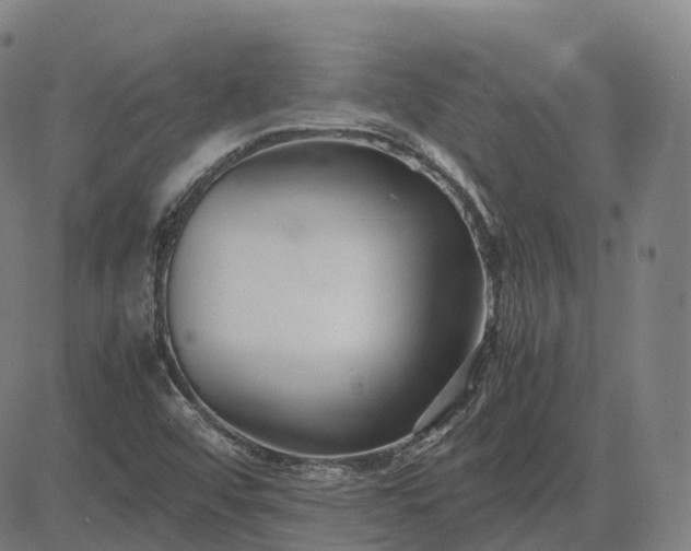 X0000083061456200702161744