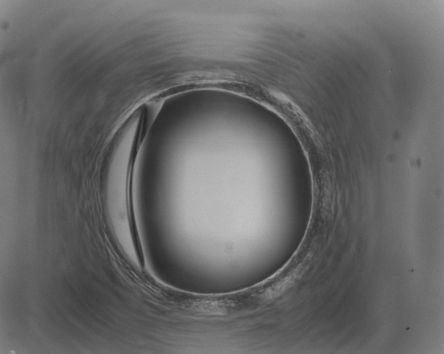 X0000083061457200702161744