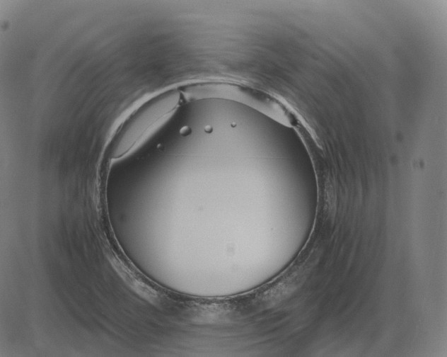 X0000083061460200702161744