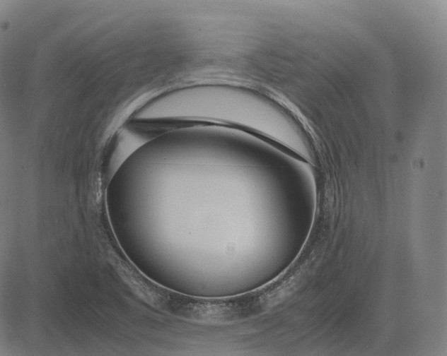 X0000083061461200702161744