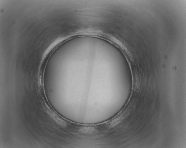 X0000083061462200702161744