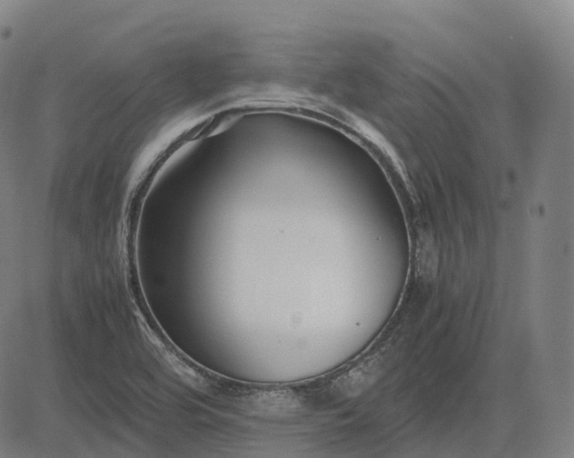 X0000083061464200702161744