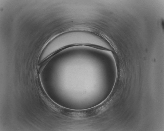 X0000083061465200702161744