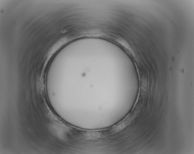 X0000083061466200702161744