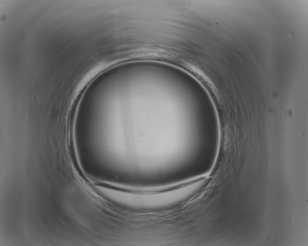 X0000083061467200702161744