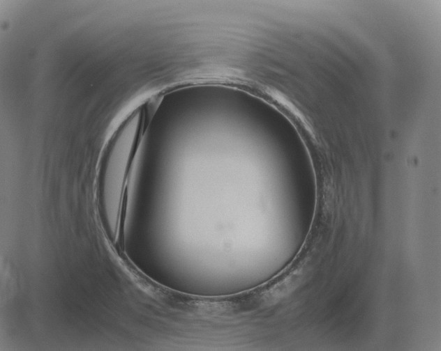 X0000083061469200702161744