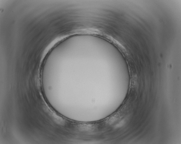 X0000083061470200702161744