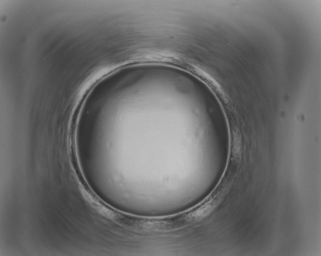 X0000083061471200702161744