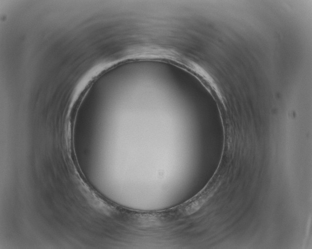 X0000083061472200702161744