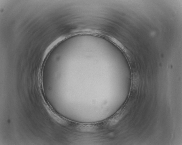 X0000083061474200702161744