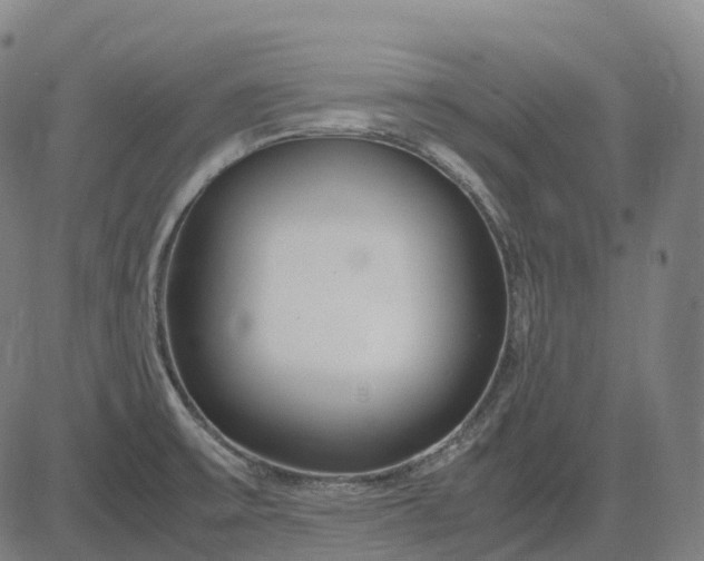 X0000083061475200702161744