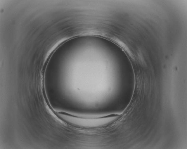 X0000083061476200702161744