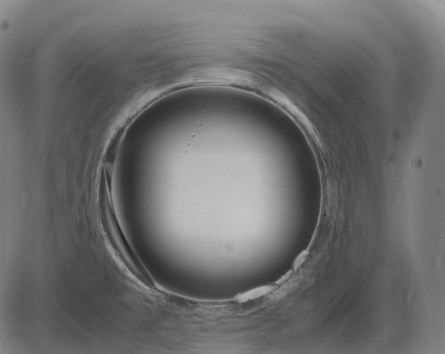 X0000083061477200702161744