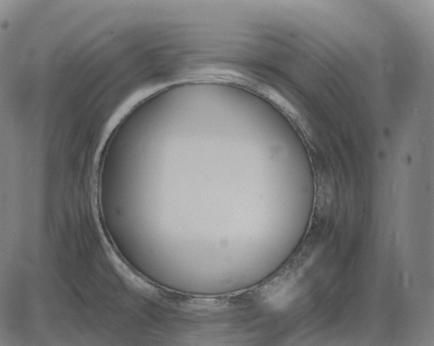 X0000083061478200702161744