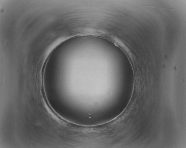 X0000083061479200702161744