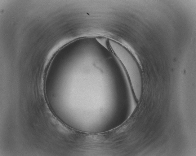 X0000083061480200702161744