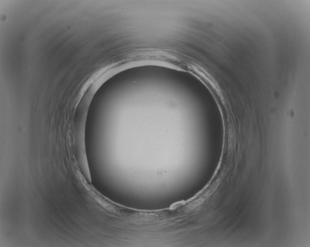 X0000083061481200702161744