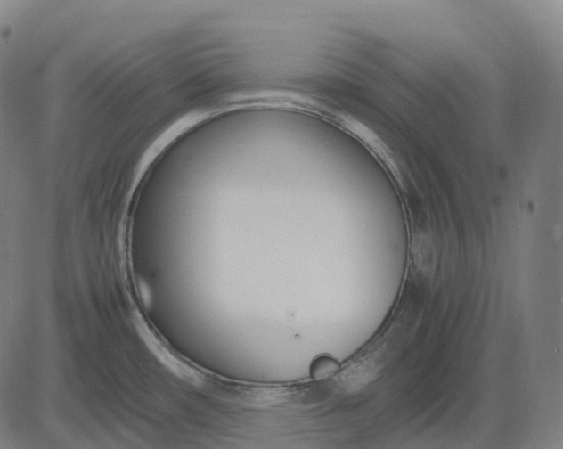 X0000083061482200702161744