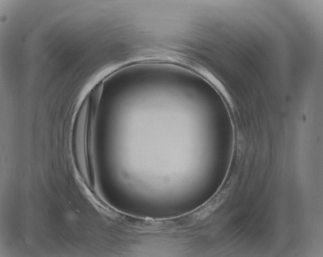 X0000083061485200702161744