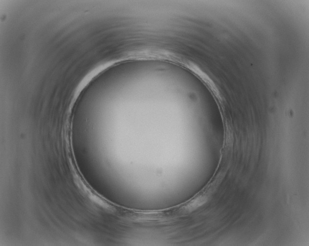 X0000083061486200702161744