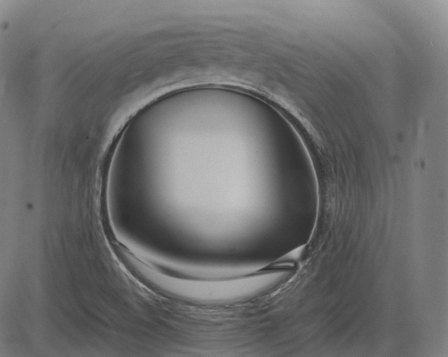 X0000083061508200702161743