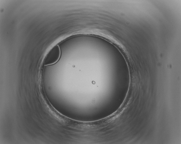 X0000083061517200702161744