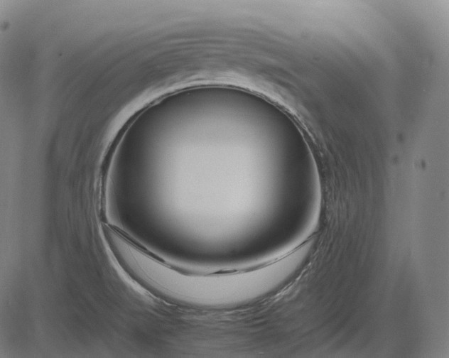 X0000083061519200702161744