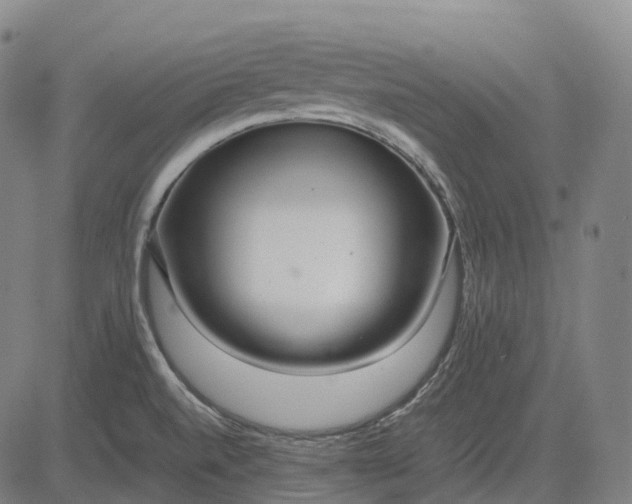 X0000083061520200702161744