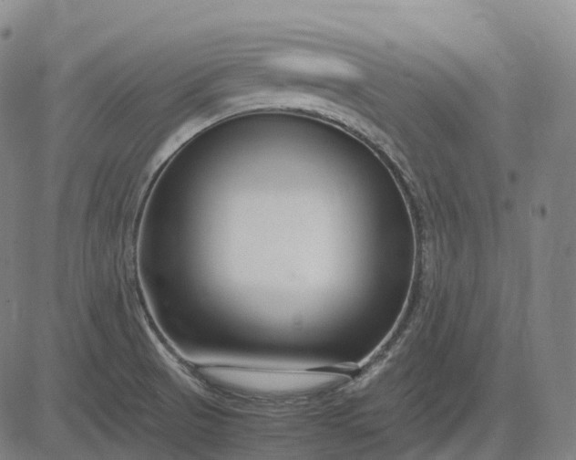 X0000083061521200702161744