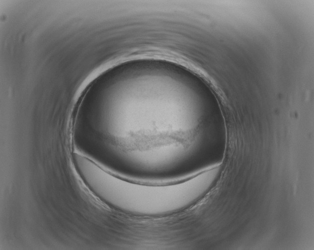 X0000083061522200702161744