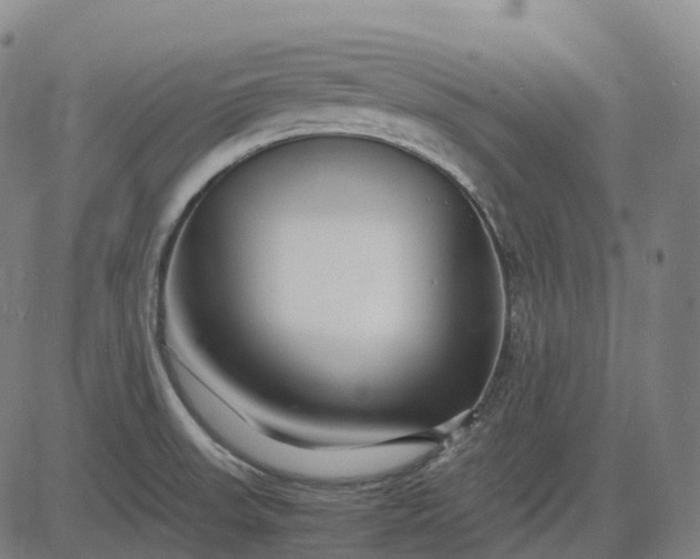 X0000083061523200702161744