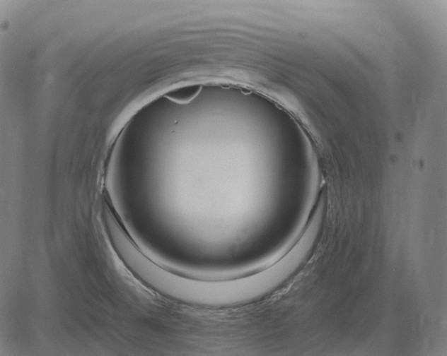 X0000083061524200702161744