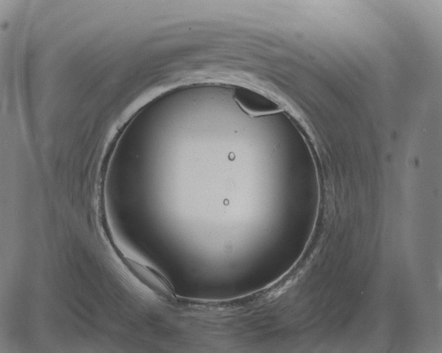 X0000083061525200702161744