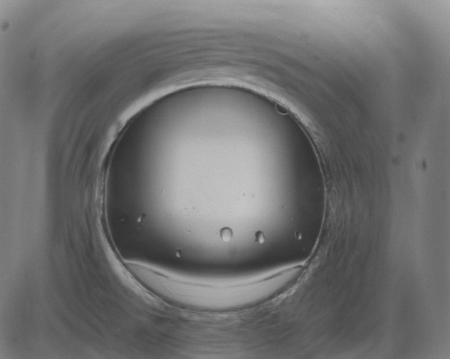 X0000083061526200702161744