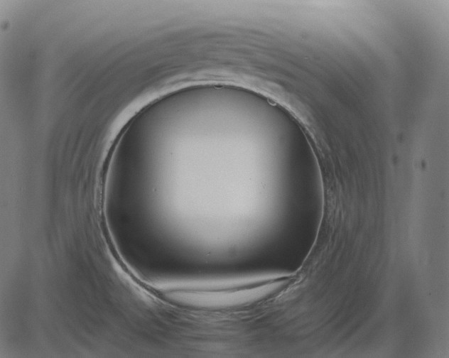 X0000083061527200702161744