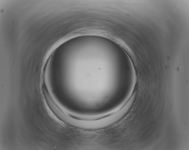 X0000083061528200702161744