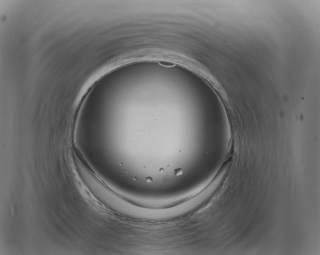 X0000083061530200702161744