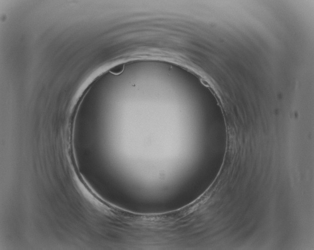 X0000083061531200702161744