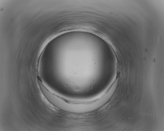 X0000083061532200702161744