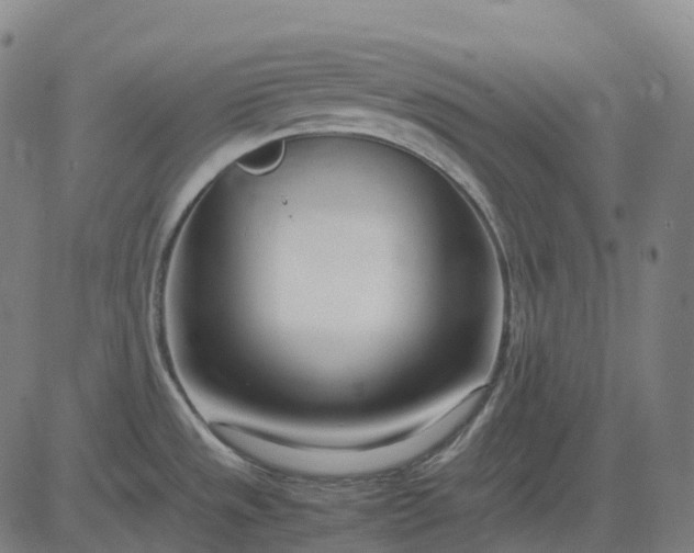 X0000083061533200702161744