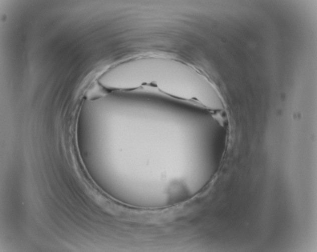 X0000083060001200702232033