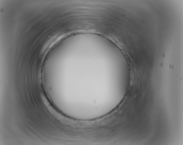 X0000083060002200702232033