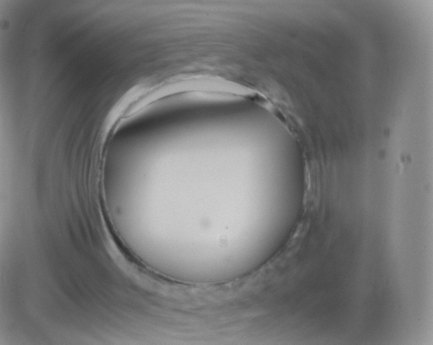 X0000083060003200702232033