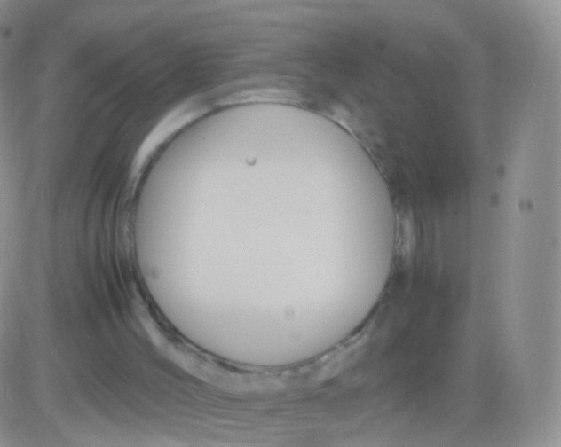 X0000083060004200702232033