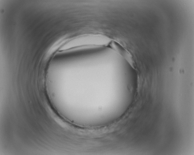 X0000083060005200702232033