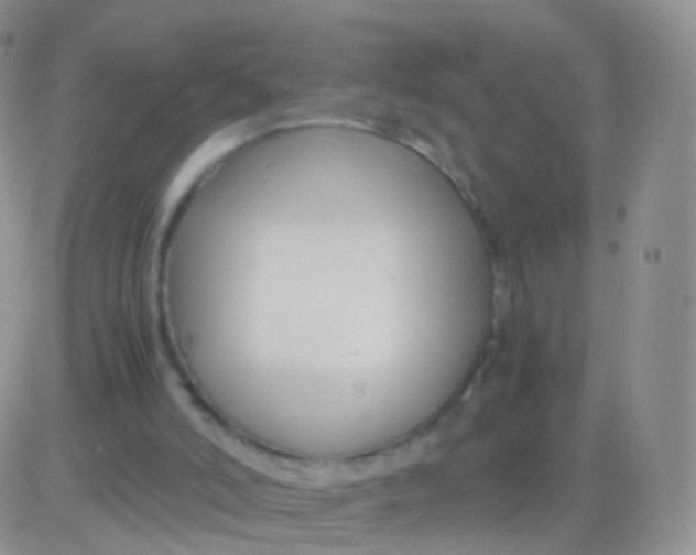 X0000083060006200702232033