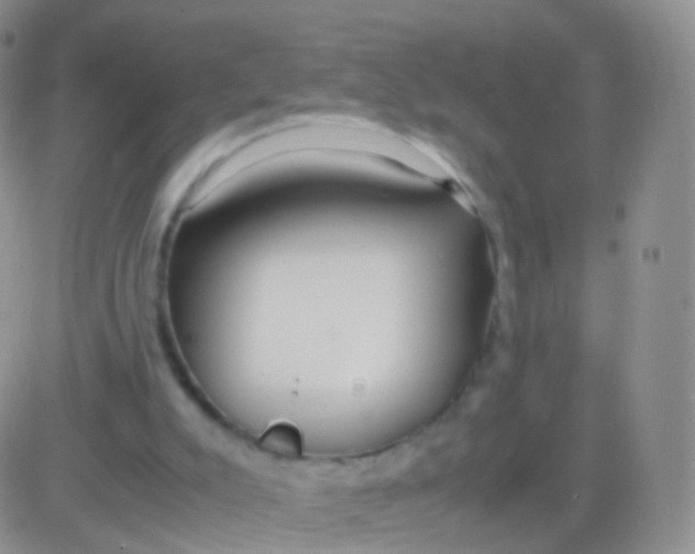 X0000083060007200702232033