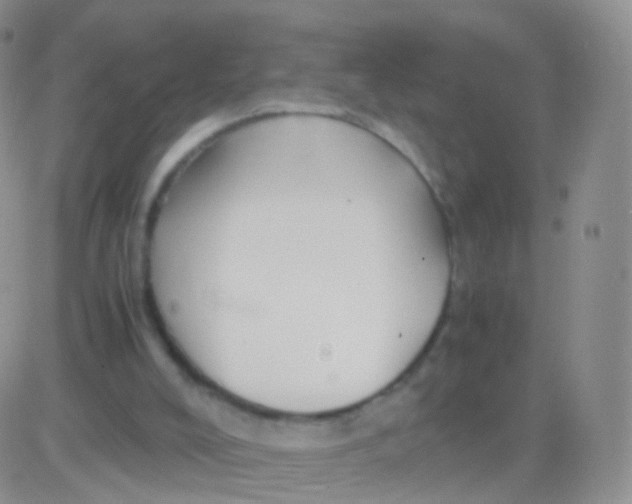 X0000083060008200702232033