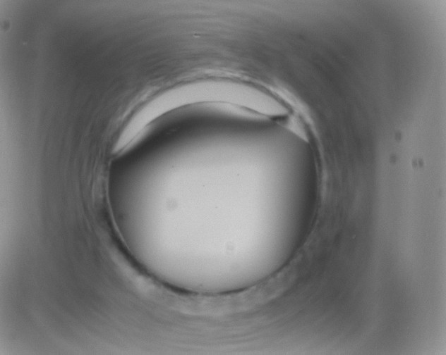 X0000083060009200702232033