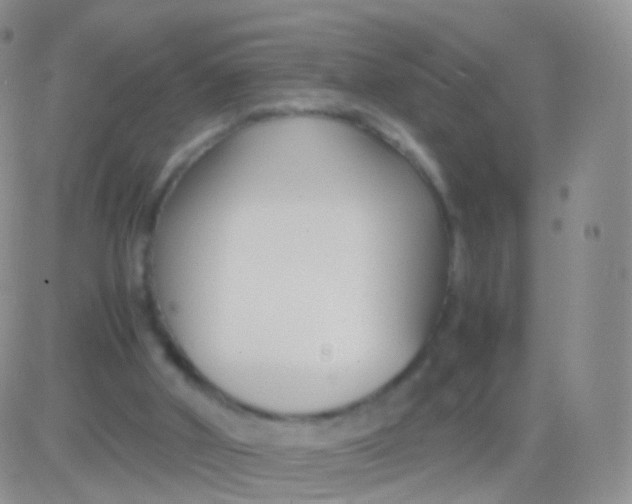 X0000083060010200702232033